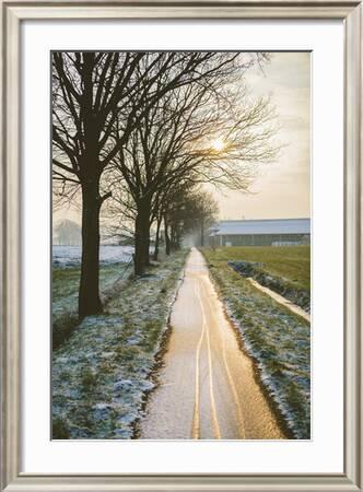 The Oude Trambaan Tree Lined Cycle Path, Rijsbergen, North Brabant, The  Netherlands (Holland)' Photographic Print - Mark Doherty | AllPosters.com