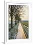 The Oude Trambaan Tree Lined Cycle Path, Rijsbergen, North Brabant, The Netherlands (Holland)-Mark Doherty-Framed Photographic Print