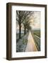 The Oude Trambaan Tree Lined Cycle Path, Rijsbergen, North Brabant, The Netherlands (Holland)-Mark Doherty-Framed Photographic Print