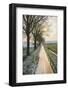 The Oude Trambaan Tree Lined Cycle Path, Rijsbergen, North Brabant, The Netherlands (Holland)-Mark Doherty-Framed Photographic Print