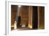 The Outer Hypostyle Hall in the Temple of Hathor, Dendera Necropolis, Qena-Tony Waltham-Framed Photographic Print