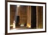 The Outer Hypostyle Hall in the Temple of Hathor, Dendera Necropolis, Qena-Tony Waltham-Framed Photographic Print