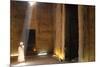 The Outer Hypostyle Hall in the Temple of Hathor, Dendera Necropolis, Qena-Tony Waltham-Mounted Photographic Print