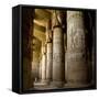 The Outer Hypostyle Hall in the Temple of Hathor, Dendera Necropolis, Qena-Tony Waltham-Framed Stretched Canvas