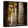 The Outer Hypostyle Hall in the Temple of Hathor, Dendera Necropolis, Qena-Tony Waltham-Framed Stretched Canvas