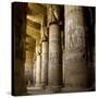The Outer Hypostyle Hall in the Temple of Hathor, Dendera Necropolis, Qena-Tony Waltham-Stretched Canvas