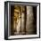 The Outer Hypostyle Hall in the Temple of Hathor, Dendera Necropolis, Qena-Tony Waltham-Framed Photographic Print