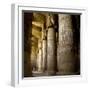 The Outer Hypostyle Hall in the Temple of Hathor, Dendera Necropolis, Qena-Tony Waltham-Framed Photographic Print