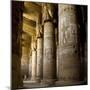 The Outer Hypostyle Hall in the Temple of Hathor, Dendera Necropolis, Qena-Tony Waltham-Mounted Photographic Print