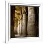 The Outer Hypostyle Hall in the Temple of Hathor, Dendera Necropolis, Qena-Tony Waltham-Framed Photographic Print