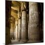 The Outer Hypostyle Hall in the Temple of Hathor, Dendera Necropolis, Qena-Tony Waltham-Mounted Photographic Print