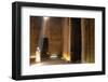 The Outer Hypostyle Hall in the Temple of Hathor, Dendera Necropolis, Qena-Tony Waltham-Framed Photographic Print