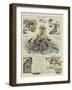 The Outlandish Knight-William Ralston-Framed Giclee Print