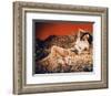 The Outlaw-null-Framed Photo