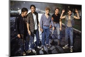 THE OUTSIDERS, 1982 directed by FRANCIS FORD COPPOLA Emilio Estevez, Rob Lowe, Thomas C. Howell, Pa-null-Mounted Photo