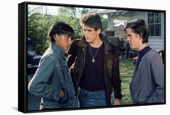 THE OUTSIDERS, 1982 directed by FRANCIS FORD COPPOLA Ralph Macchio, Matt Dillon andThomas C. Howell-null-Framed Stretched Canvas