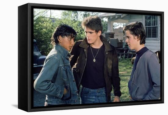 THE OUTSIDERS, 1982 directed by FRANCIS FORD COPPOLA Ralph Macchio, Matt Dillon andThomas C. Howell-null-Framed Stretched Canvas