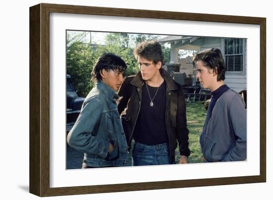 THE OUTSIDERS, 1982 directed by FRANCIS FORD COPPOLA Ralph Macchio, Matt Dillon andThomas C. Howell-null-Framed Photo