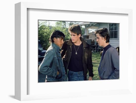 THE OUTSIDERS, 1982 directed by FRANCIS FORD COPPOLA Ralph Macchio, Matt Dillon andThomas C. Howell-null-Framed Photo