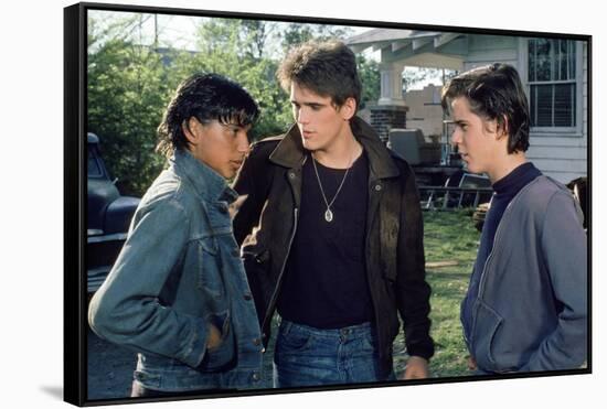 THE OUTSIDERS, 1982 directed by FRANCIS FORD COPPOLA Ralph Macchio, Matt Dillon andThomas C. Howell-null-Framed Stretched Canvas