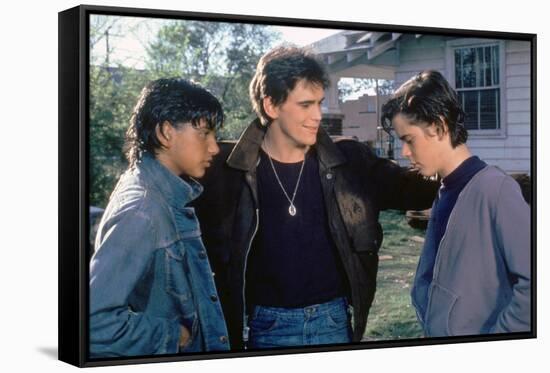 THE OUTSIDERS, 1982 directed by FRANCIS FORD COPPOLA Ralph Macchio, Matt Dillon andThomas C. Howell-null-Framed Stretched Canvas