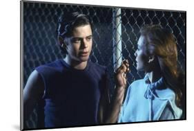 THE OUTSIDERS, 1982 directed by FRANCIS FORD COPPOLA Thomas C. Howell and Diane Lane (photo)-null-Mounted Photo