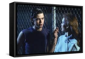 THE OUTSIDERS, 1982 directed by FRANCIS FORD COPPOLA Thomas C. Howell and Diane Lane (photo)-null-Framed Stretched Canvas