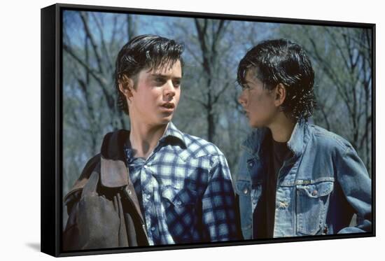 THE OUTSIDERS, 1982 directed by FRANCIS FORD COPPOLA Thomas C. Howell and Ralph macchio (photo)-null-Framed Stretched Canvas