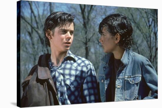 THE OUTSIDERS, 1982 directed by FRANCIS FORD COPPOLA Thomas C. Howell and Ralph macchio (photo)-null-Stretched Canvas