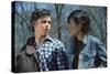 THE OUTSIDERS, 1982 directed by FRANCIS FORD COPPOLA Thomas C. Howell and Ralph macchio (photo)-null-Stretched Canvas