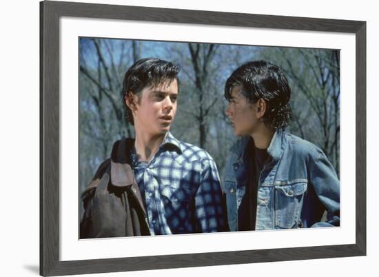 THE OUTSIDERS, 1982 directed by FRANCIS FORD COPPOLA Thomas C. Howell and Ralph macchio (photo)-null-Framed Photo