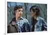 THE OUTSIDERS, 1982 directed by FRANCIS FORD COPPOLA Thomas C. Howell and Ralph macchio (photo)-null-Framed Photo