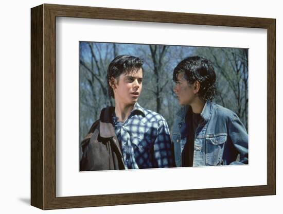 THE OUTSIDERS, 1982 directed by FRANCIS FORD COPPOLA Thomas C. Howell and Ralph macchio (photo)-null-Framed Photo
