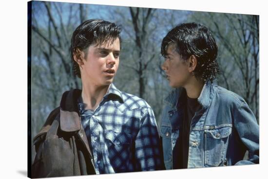 THE OUTSIDERS, 1982 directed by FRANCIS FORD COPPOLA Thomas C. Howell and Ralph macchio (photo)-null-Stretched Canvas