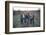 THE OUTSIDERS, 1982-null-Framed Photo