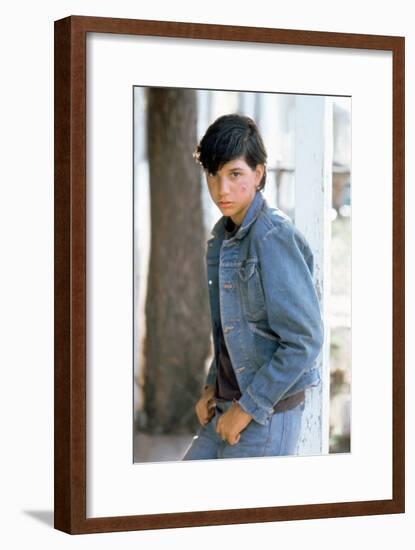 The Outsiders, Ralph Macchio, Directed by Francis Ford Coppola, 1982-null-Framed Photo