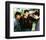 The Outsiders-null-Framed Photo