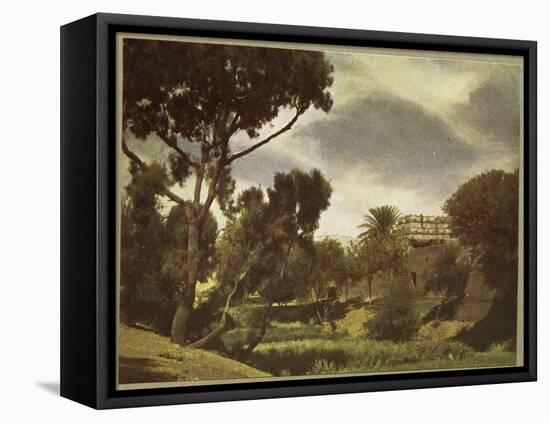 The outskirts of a village near Luxor, Egypt-English Photographer-Framed Stretched Canvas