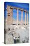 The Oval Piazza, Palmyra, Syria-Vivienne Sharp-Stretched Canvas