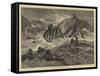 The Overturned Life-Boat-Charles Joseph Staniland-Framed Stretched Canvas