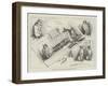 The Owl and the Fraudulent Foxes-Henry Charles Seppings Wright-Framed Giclee Print