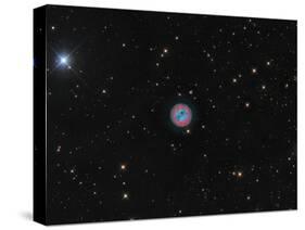 The Owl Nebula, a Planetary Nebula in Ursa Major-null-Stretched Canvas