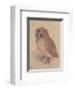 The Owlet-Albrecht Dürer-Framed Art Print