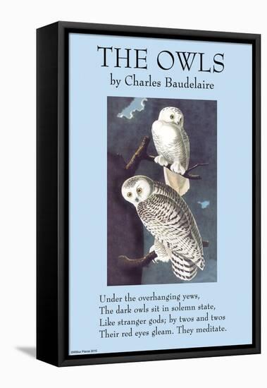 The Owls-null-Framed Stretched Canvas