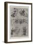 The Oxford and Cambridge Boat-Race of 1901-Ralph Cleaver-Framed Giclee Print