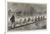 The Oxford and Cambridge Boat-Race, Practising on the Isis During the Floods-null-Framed Giclee Print