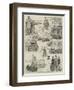 The Oxford and Cambridge Boat Race-null-Framed Giclee Print