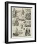 The Oxford and Cambridge Boat Race-null-Framed Giclee Print