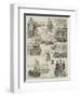 The Oxford and Cambridge Boat Race-null-Framed Giclee Print