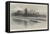 The Oxford and Cambridge Universities' Boat-Race, Cambridge Crew at Practice, Last Row on the Cam-null-Framed Stretched Canvas